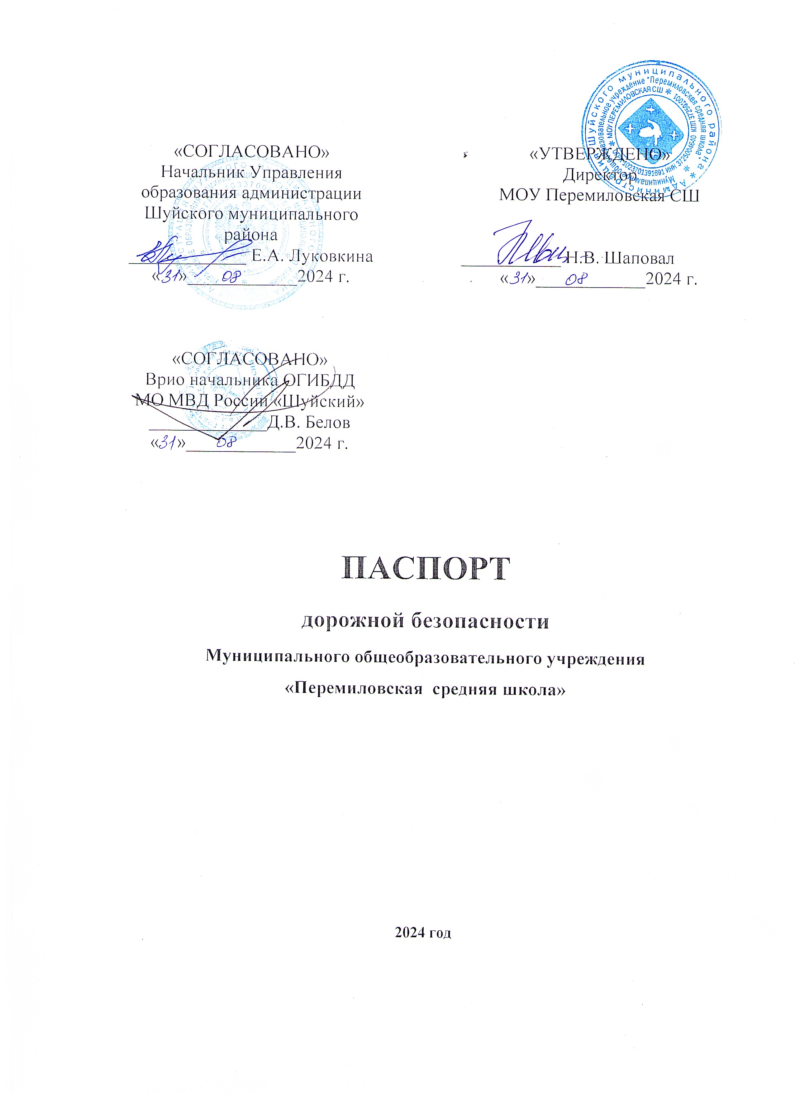 Паспорт дорожной безопасности