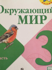 Окружающий мир. 3 класс.